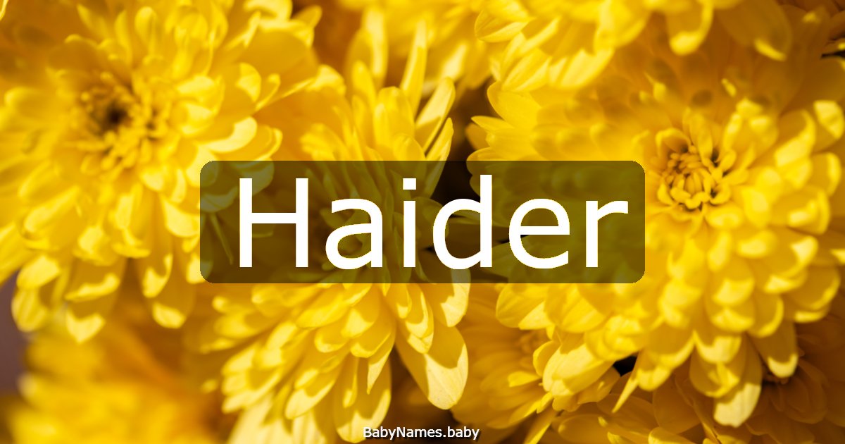 Haider
