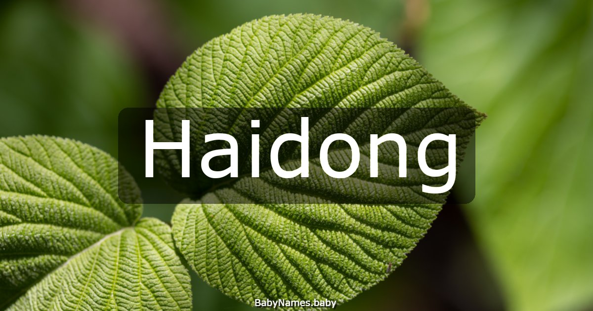 Haidong