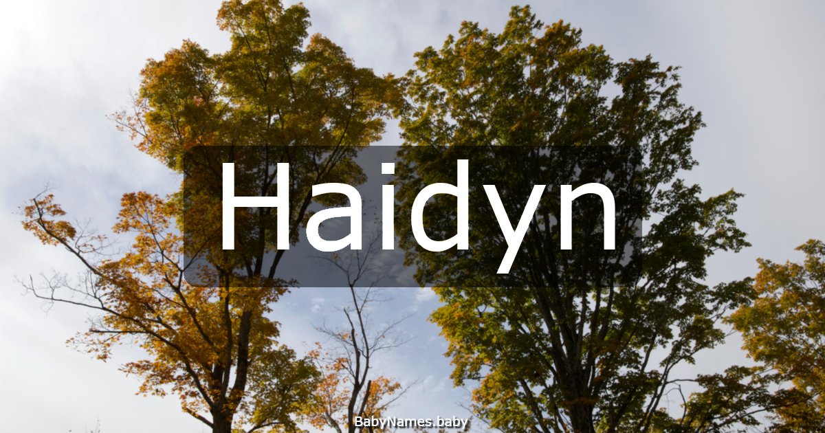 Haidyn
