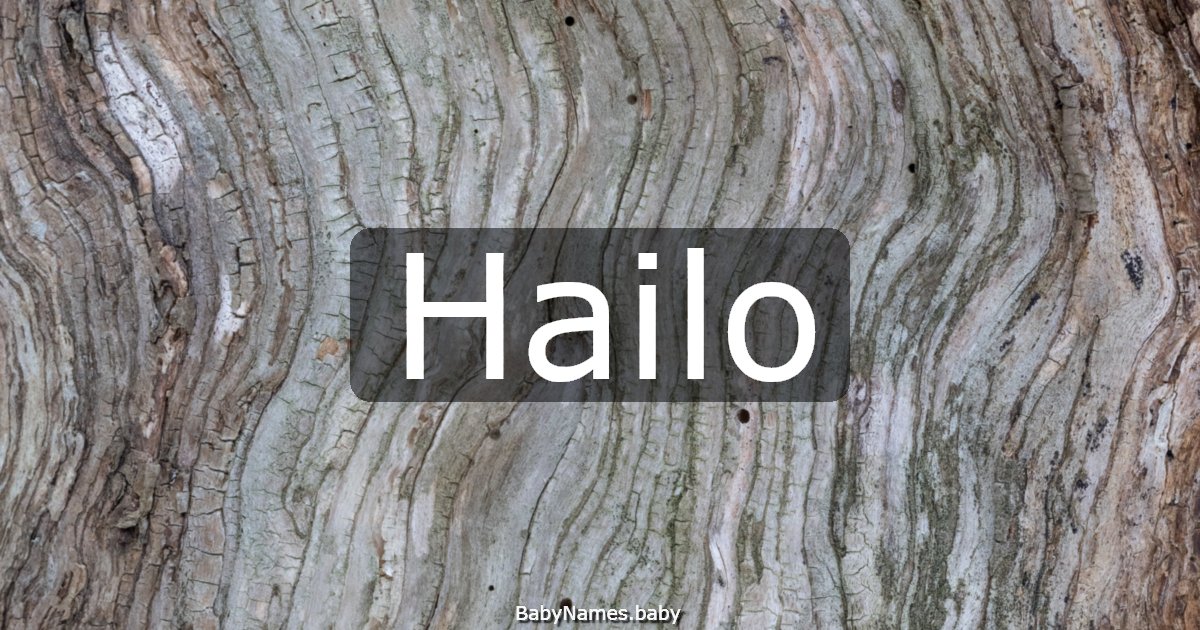 Hailo