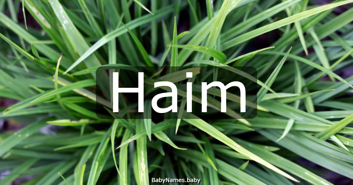 Haim