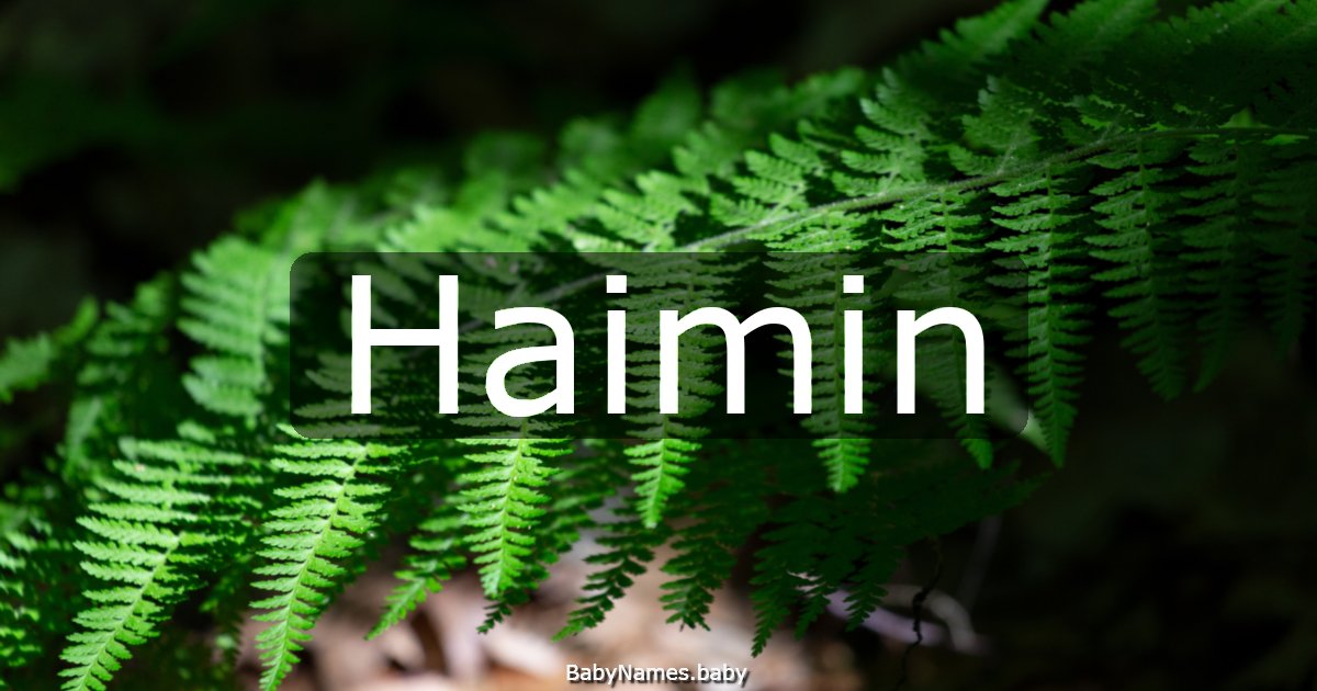 Haimin