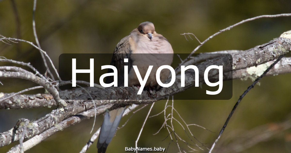 Haiyong