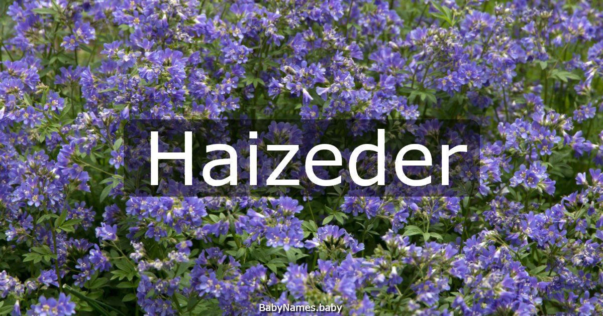 Haizeder