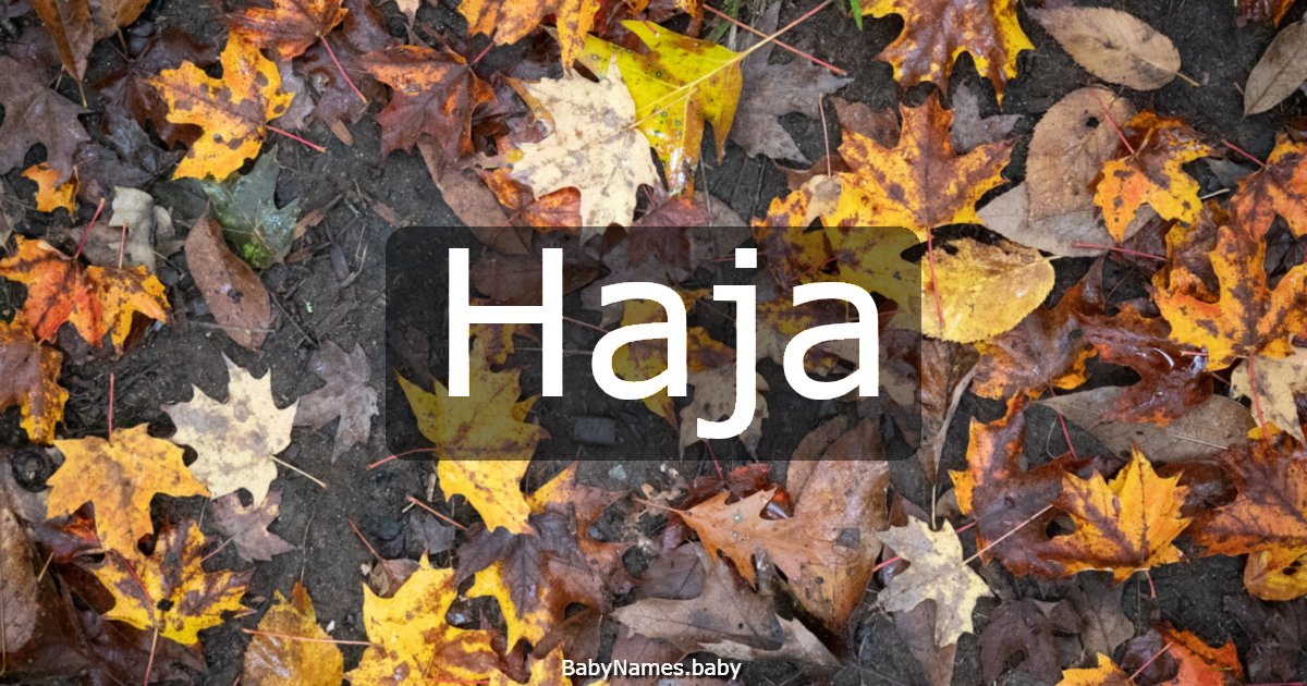 Haja