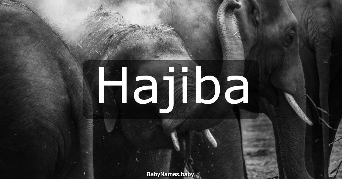 Hajiba