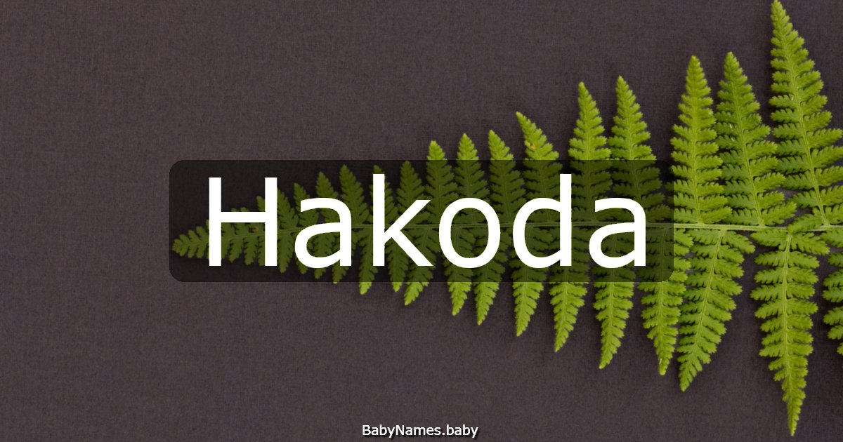 Hakoda