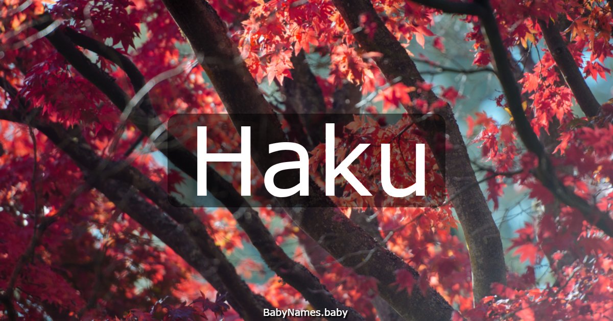Haku