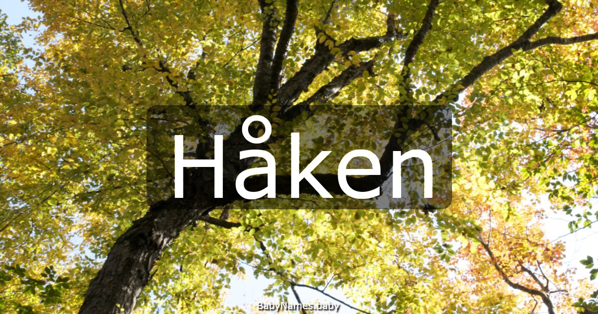 Håken