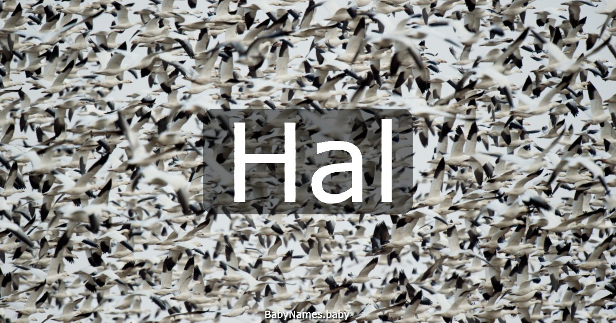 Hal