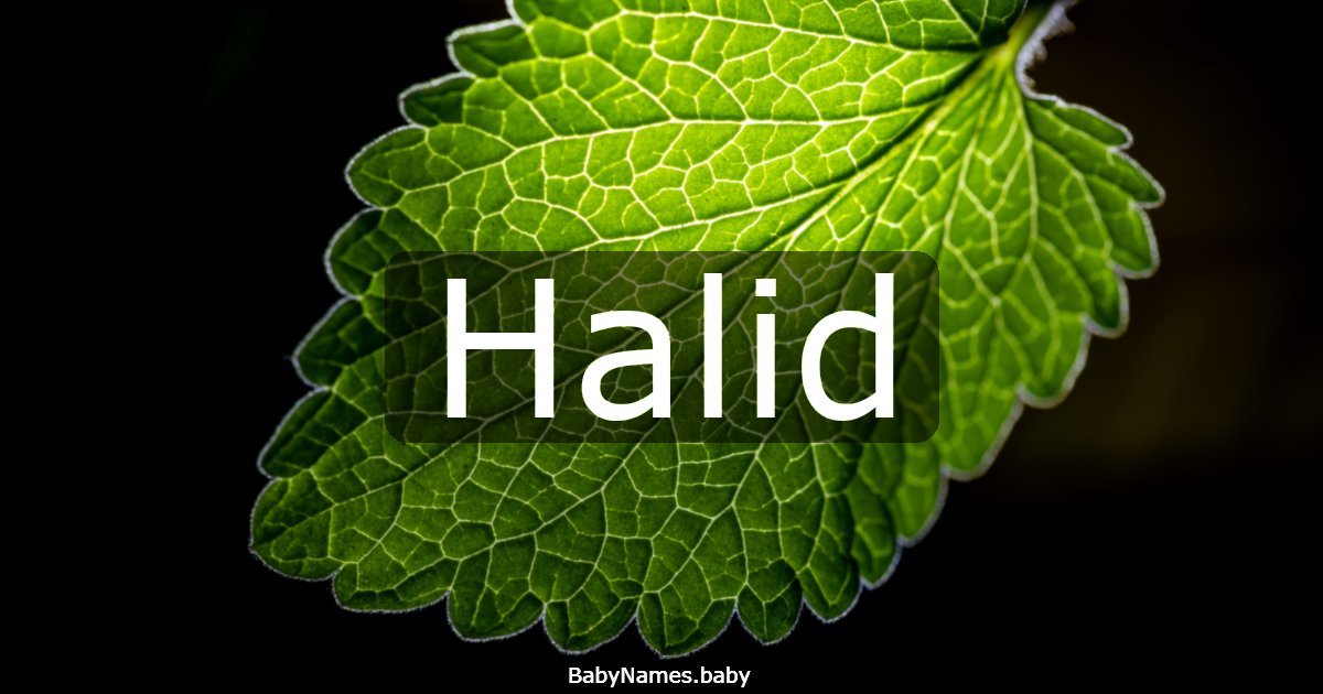 Halid