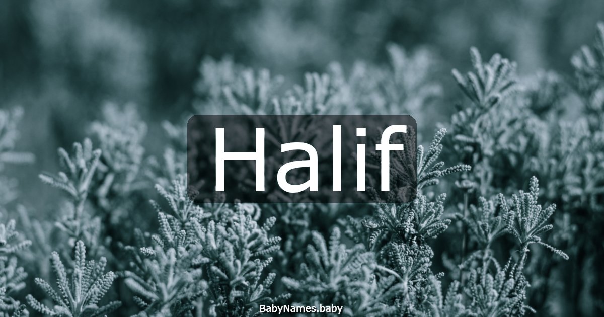 Halif