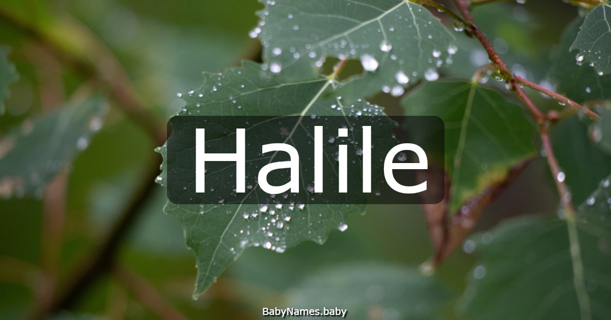 Halile