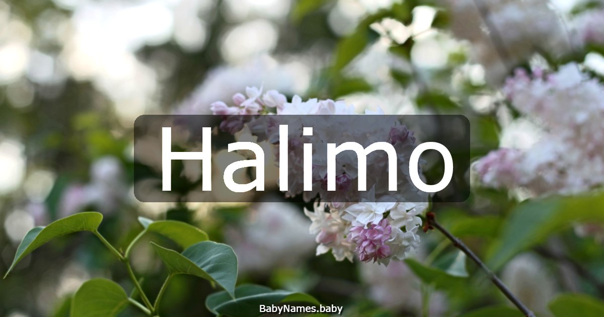Halimo
