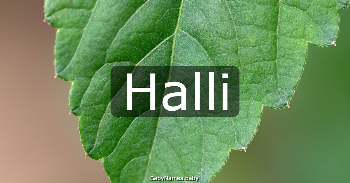 Halli