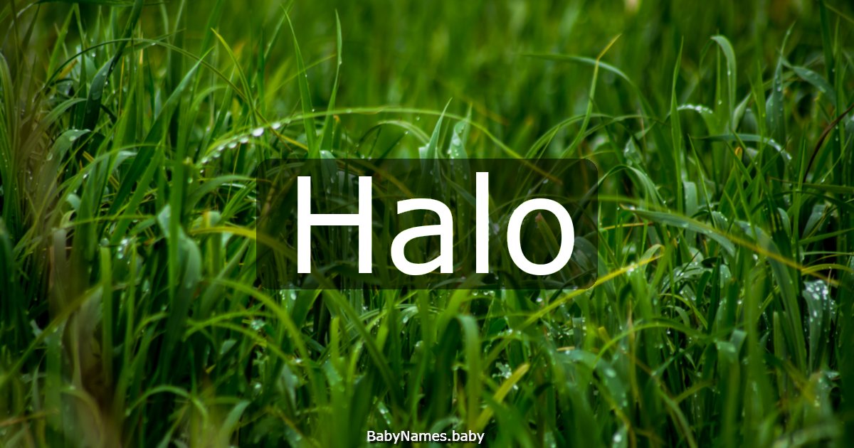 Halo