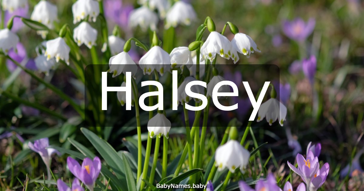 Halsey