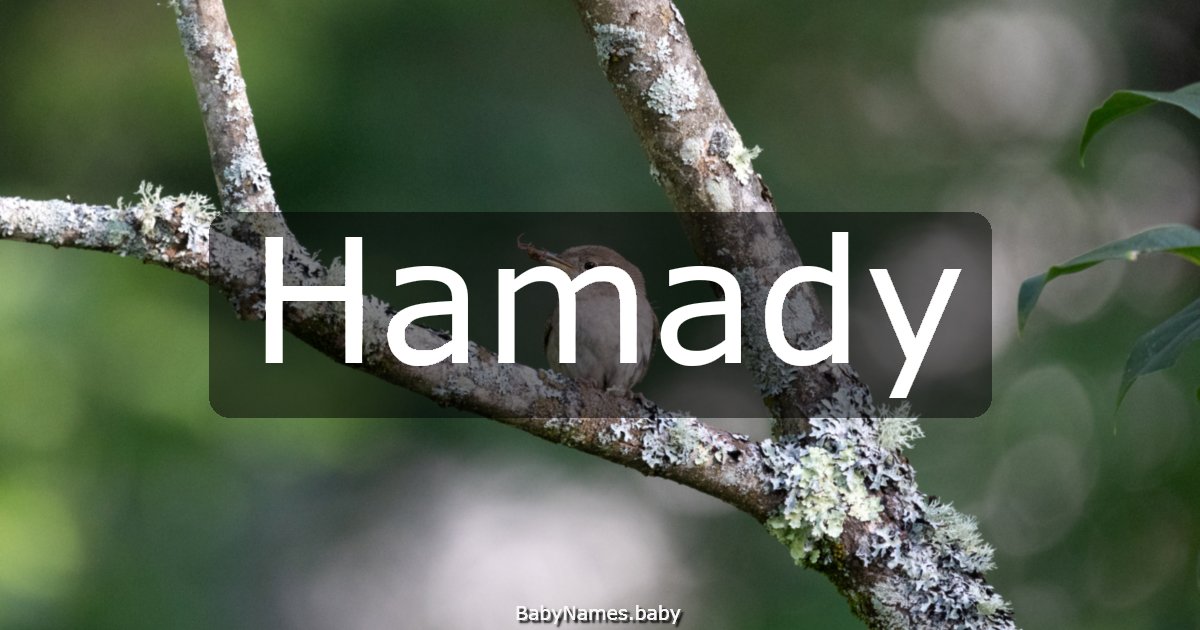 Hamady