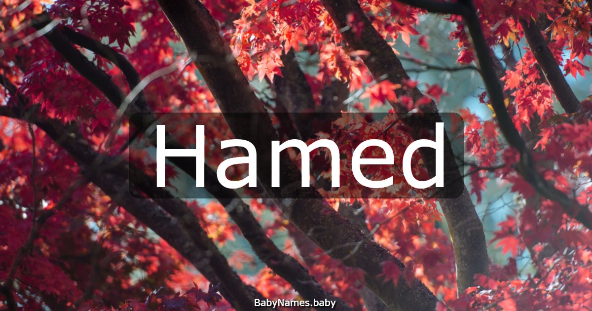 Hamed