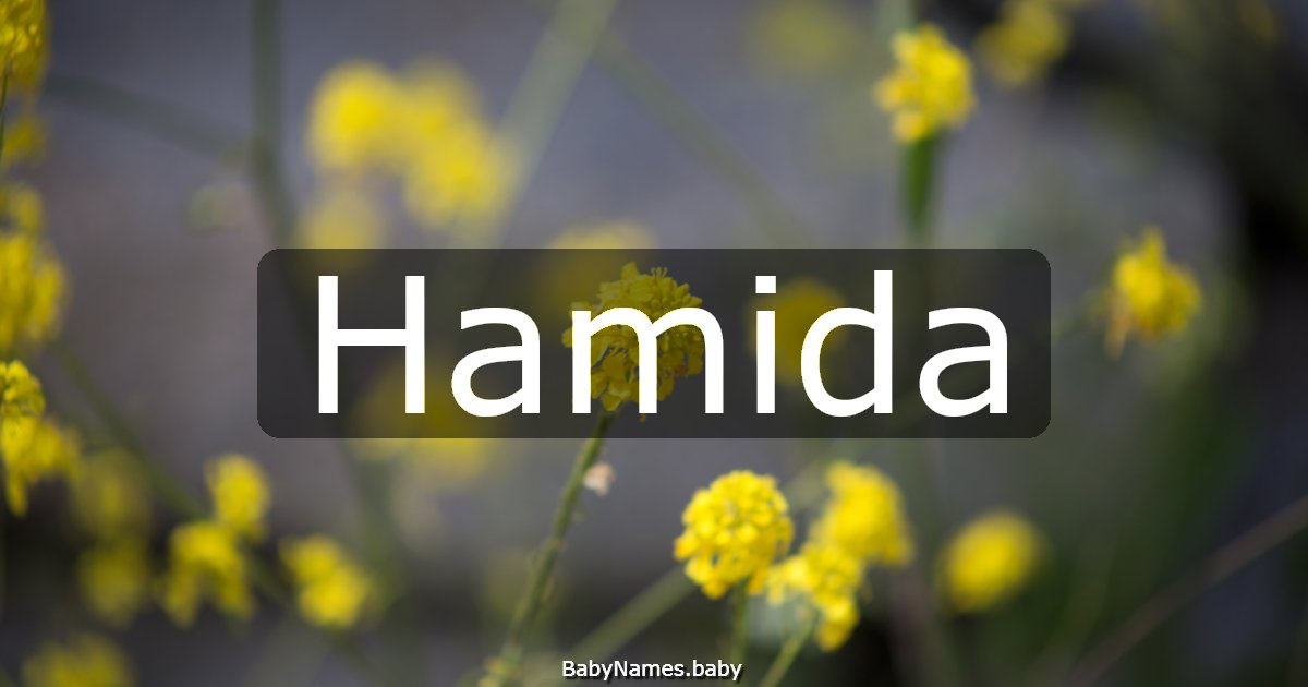 Hamida