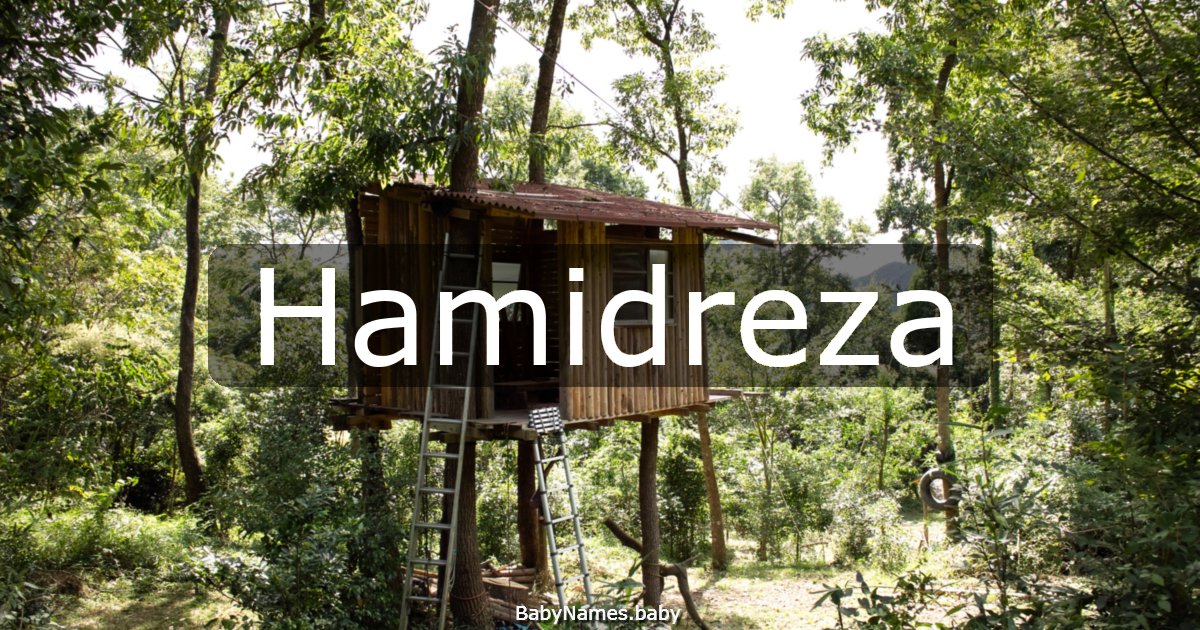 Hamidreza