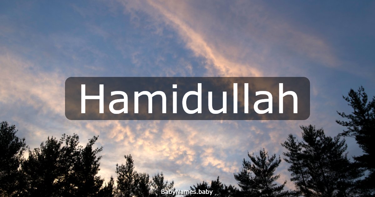 Hamidullah