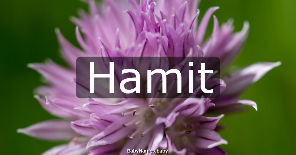 Hamit