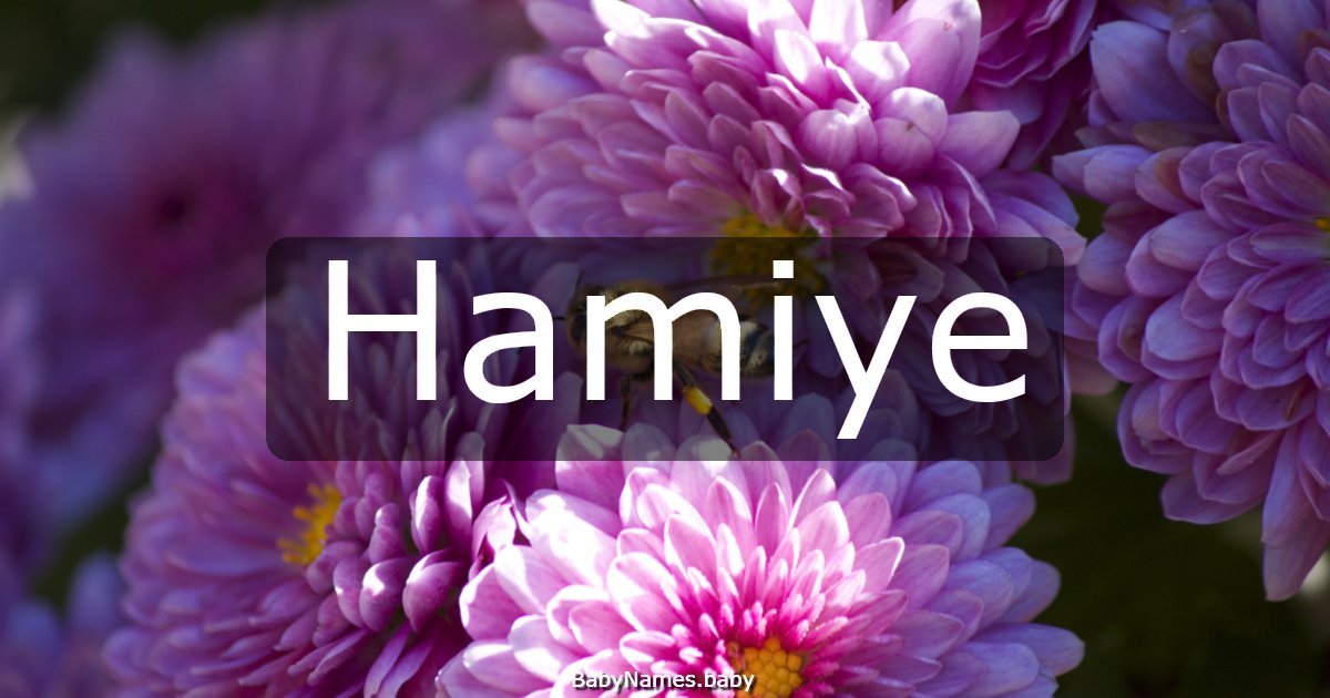 Hamiye