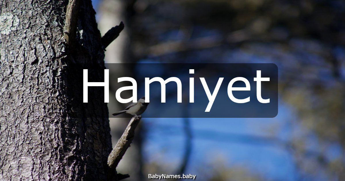 Hamiyet