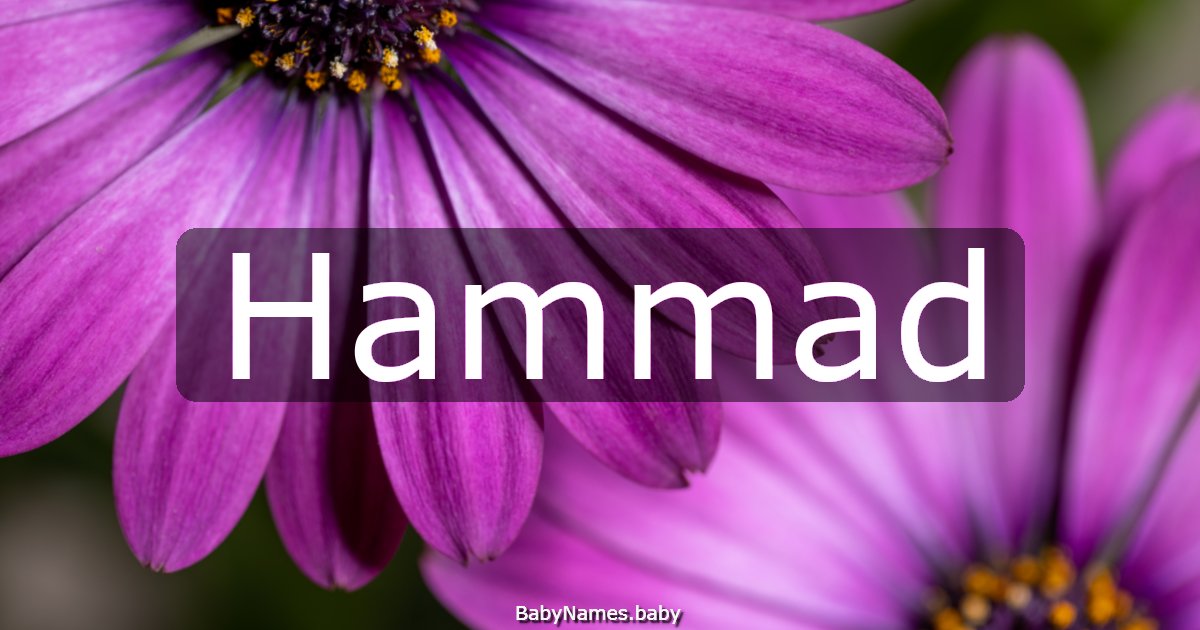 Hammad