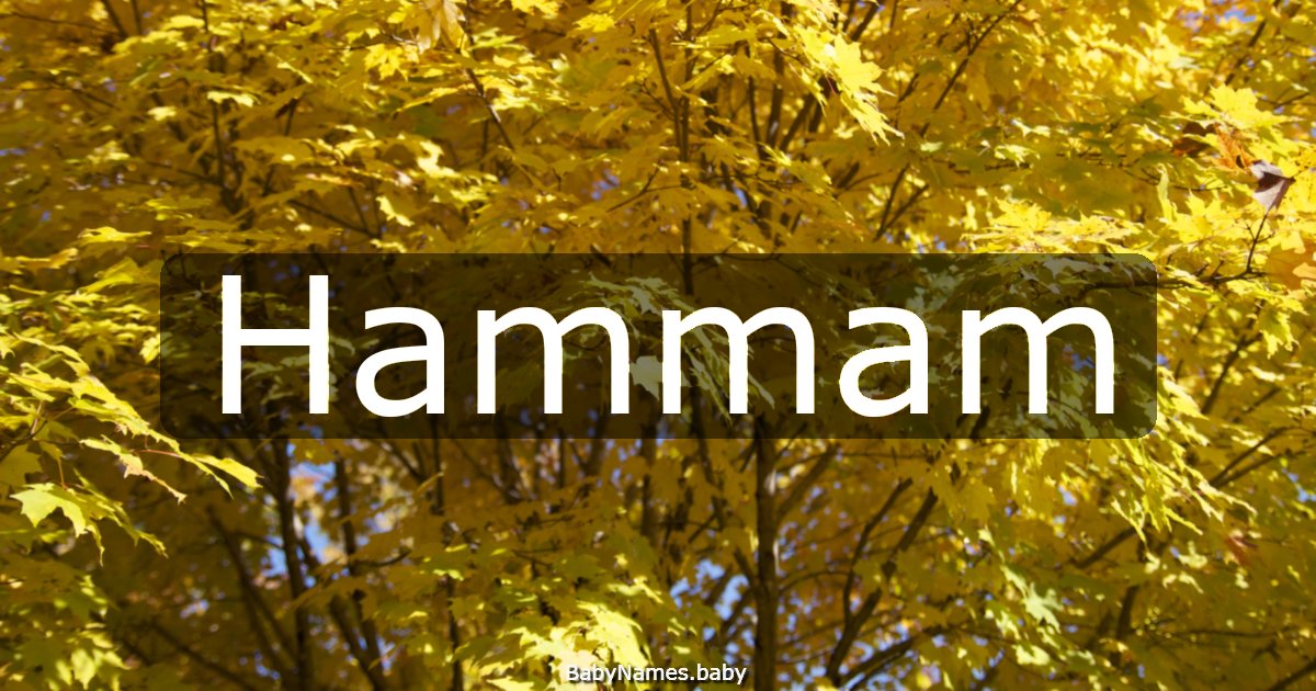 Hammam