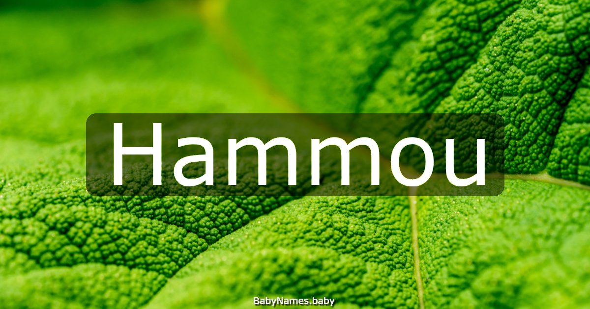 Hammou