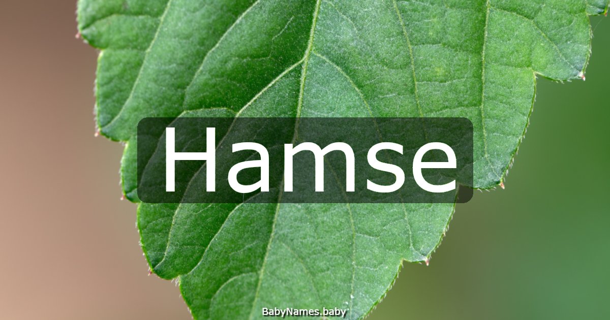 Hamse