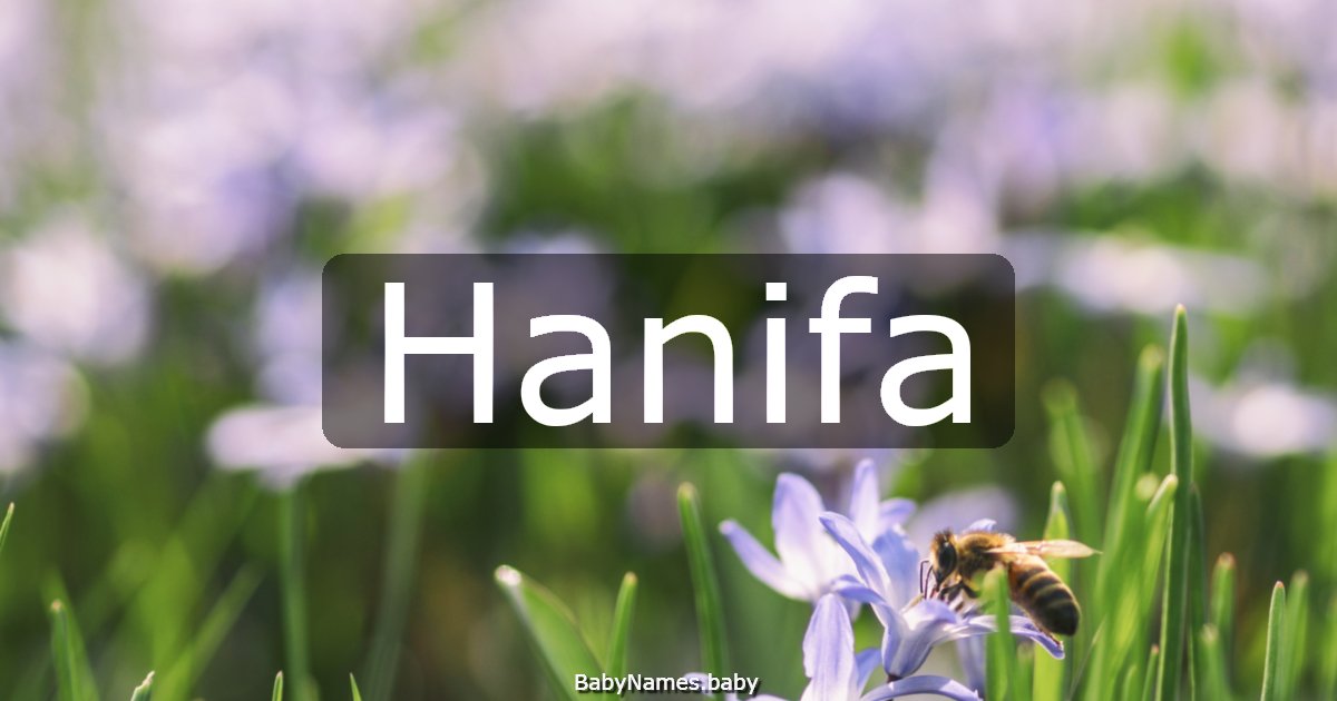Hanifa