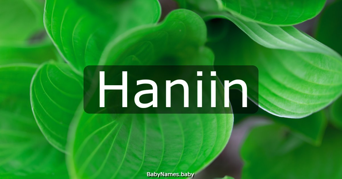 Haniin