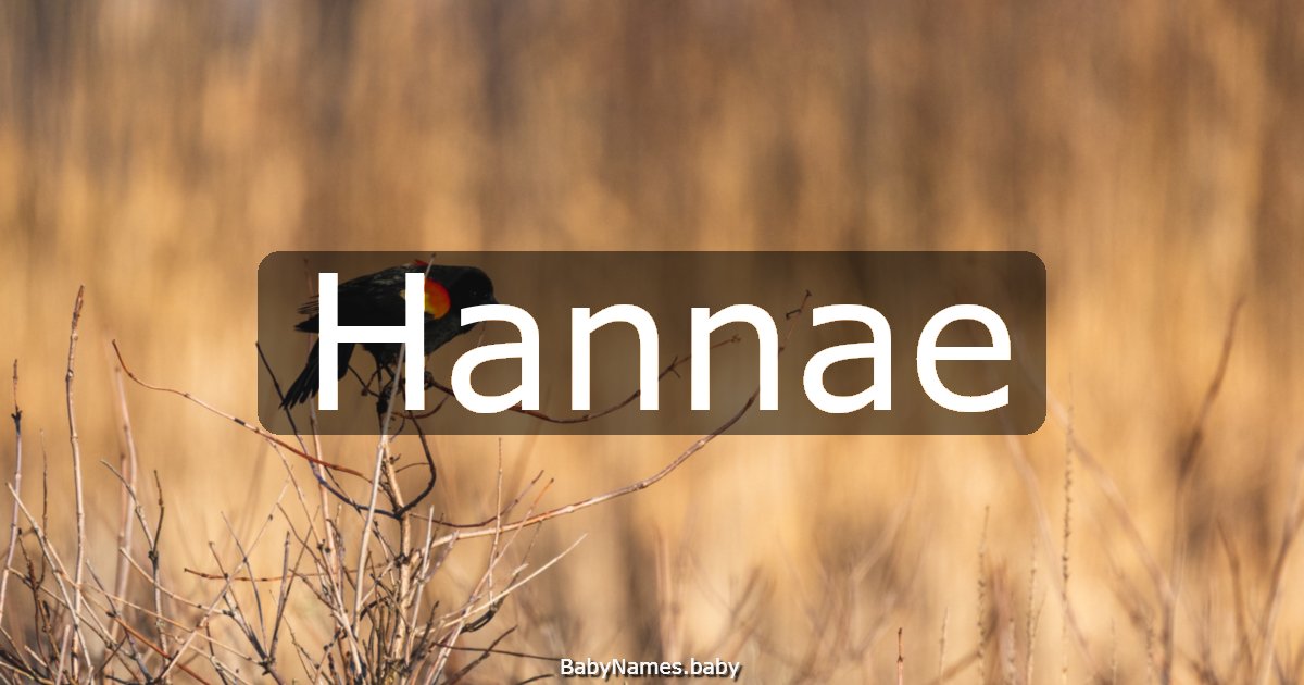 Hannae