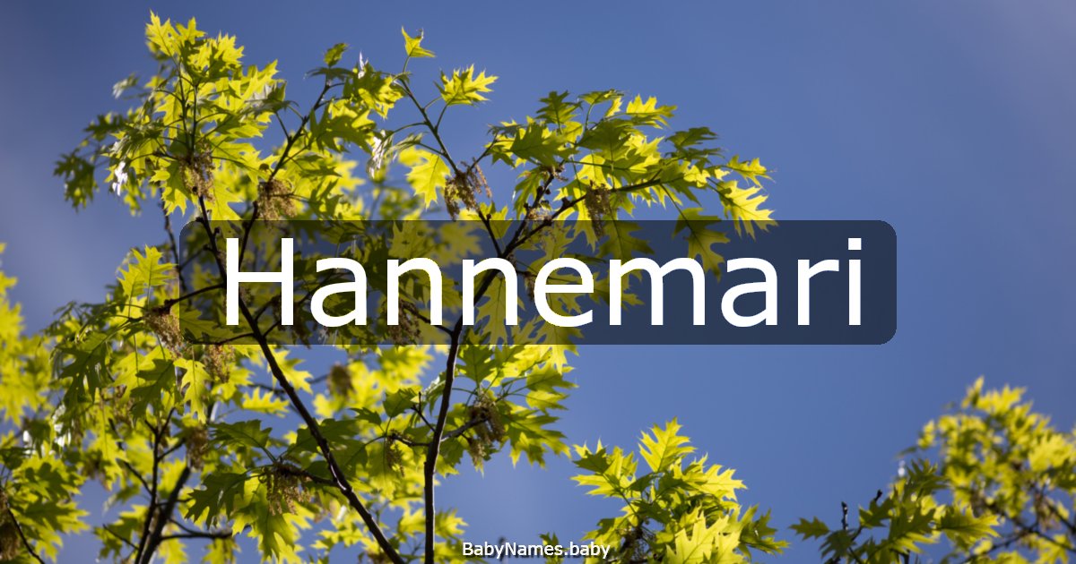 Hannemari