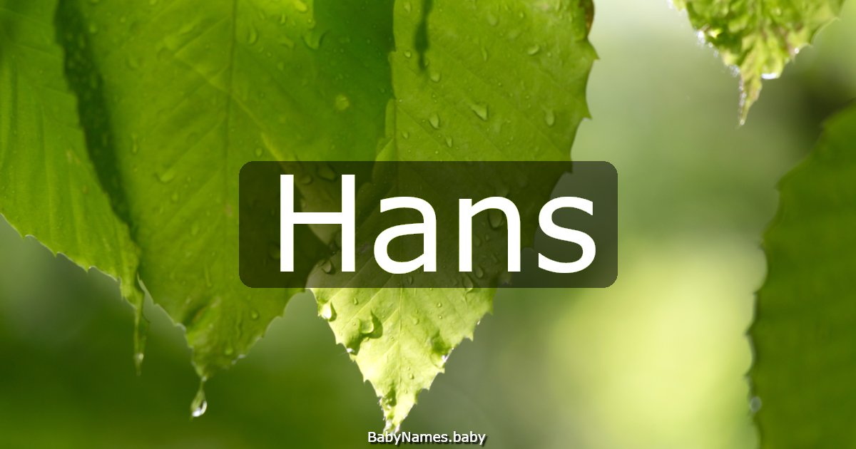 Hans