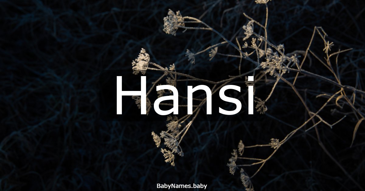 Hansi