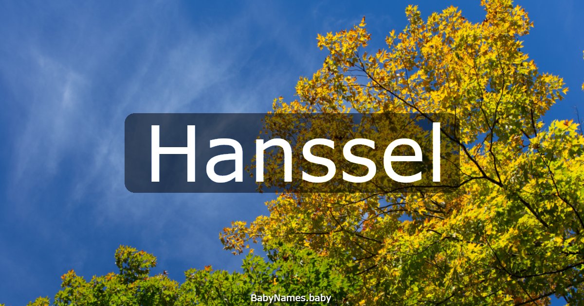Hanssel