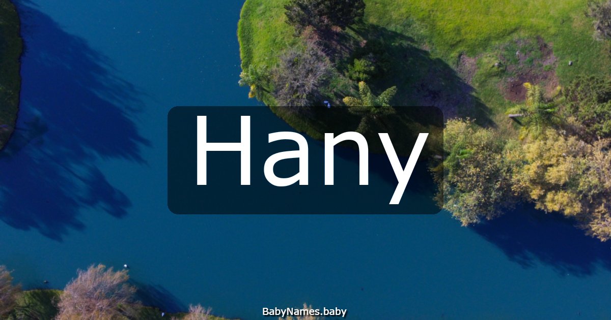 Hany