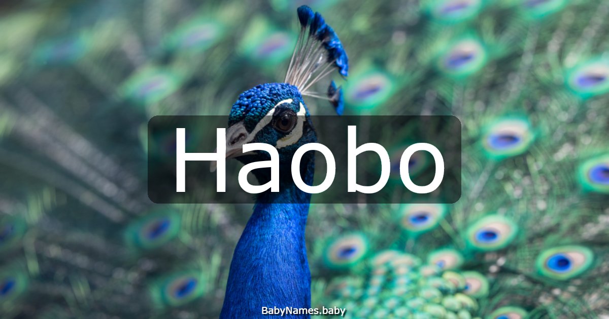 Haobo