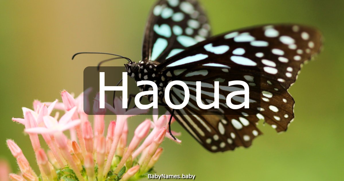 Haoua
