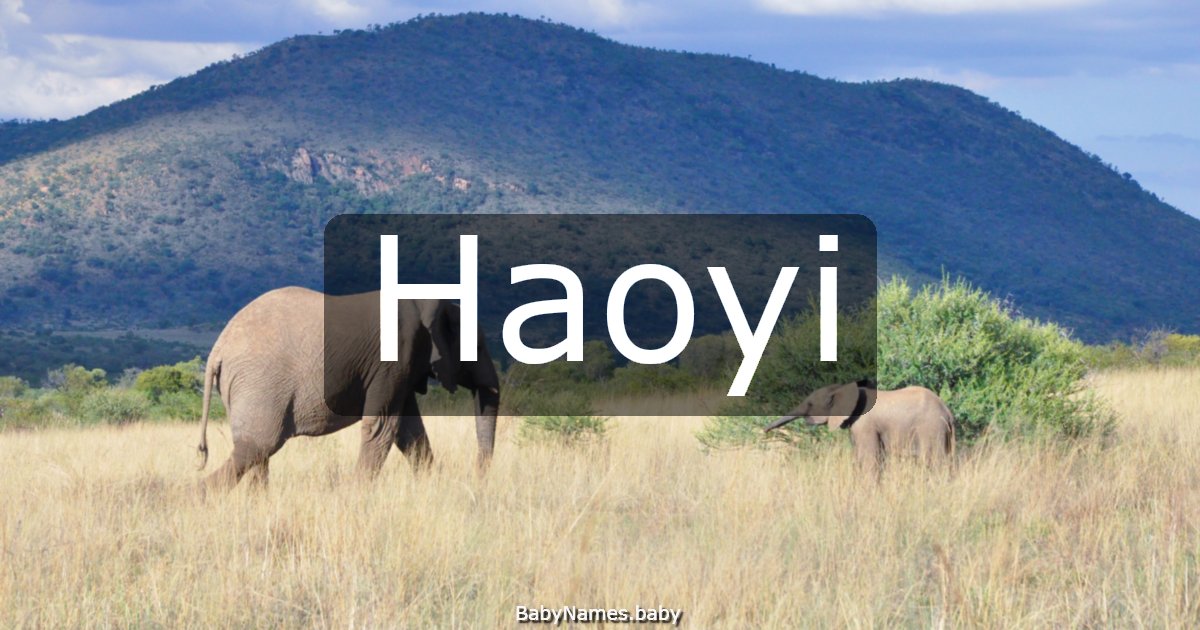 Haoyi