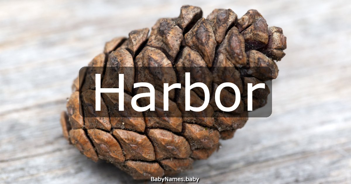 Harbor