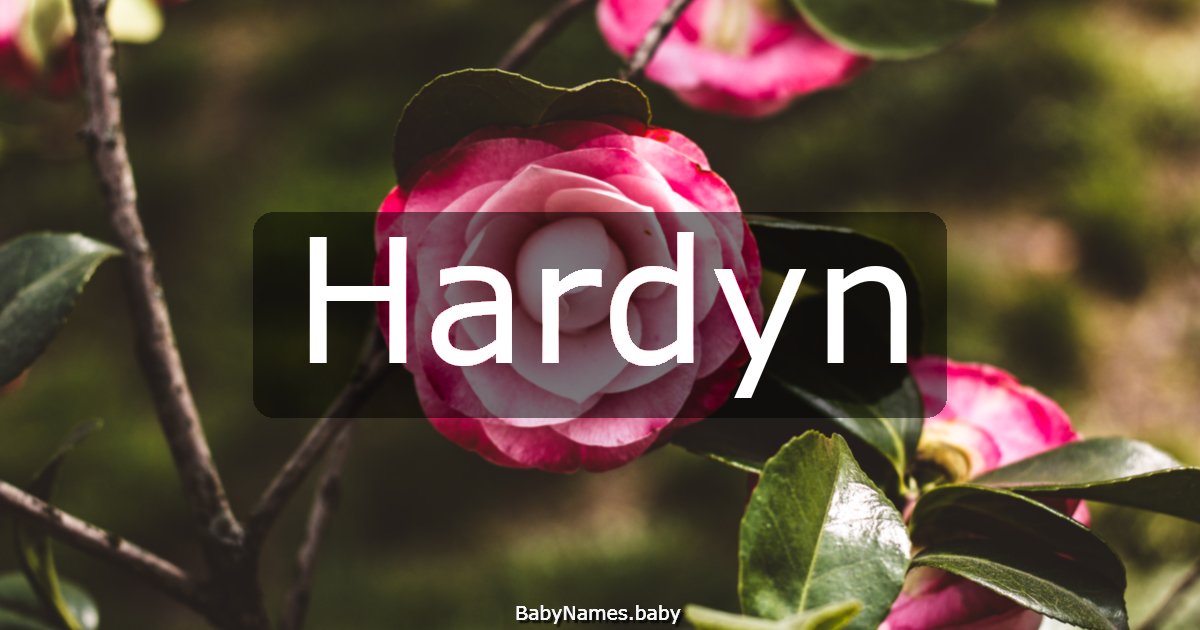Hardyn