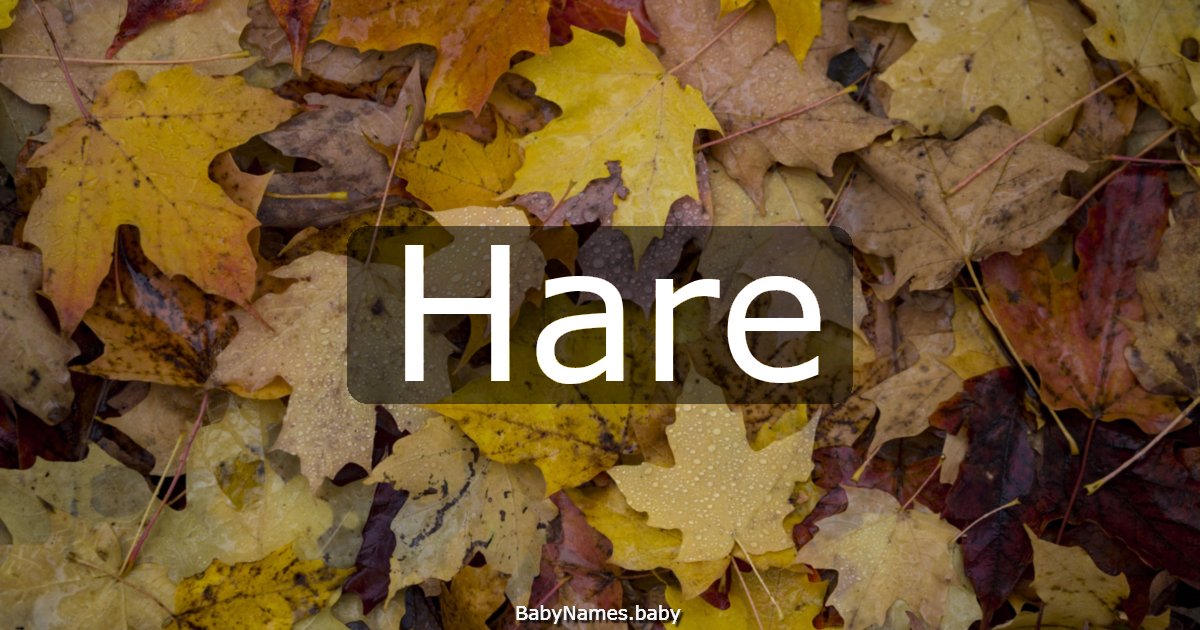 Hare
