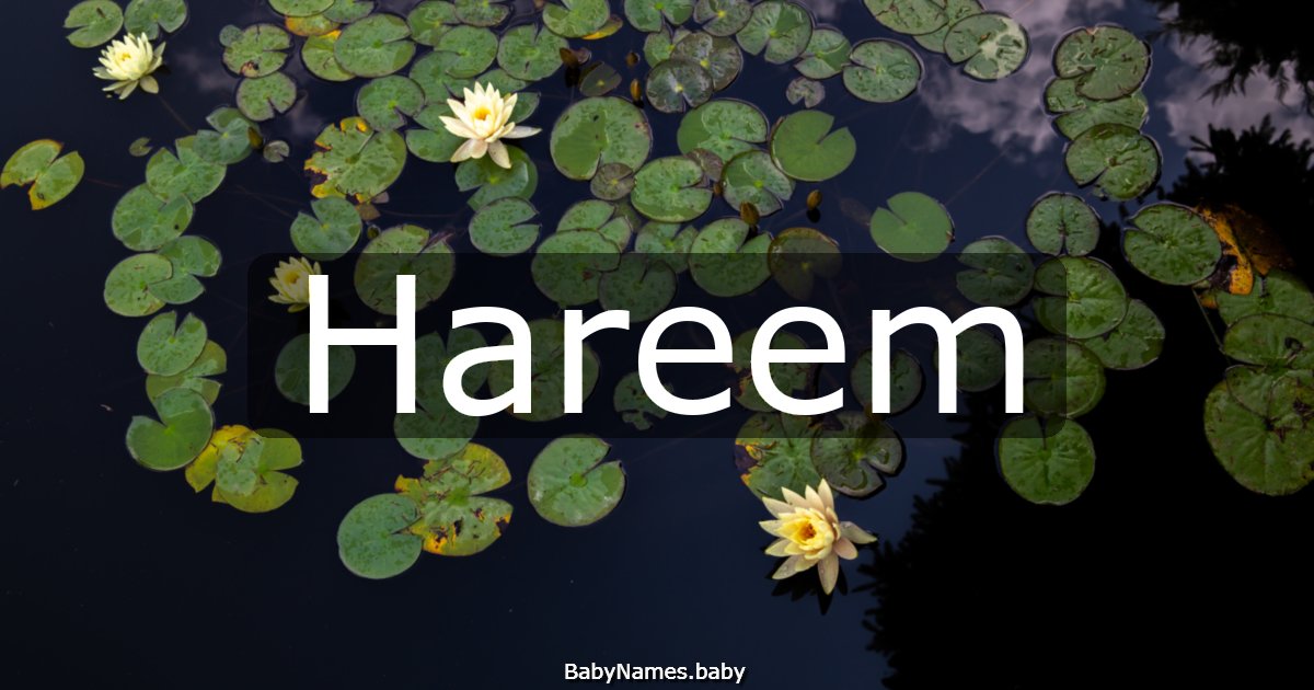 Hareem