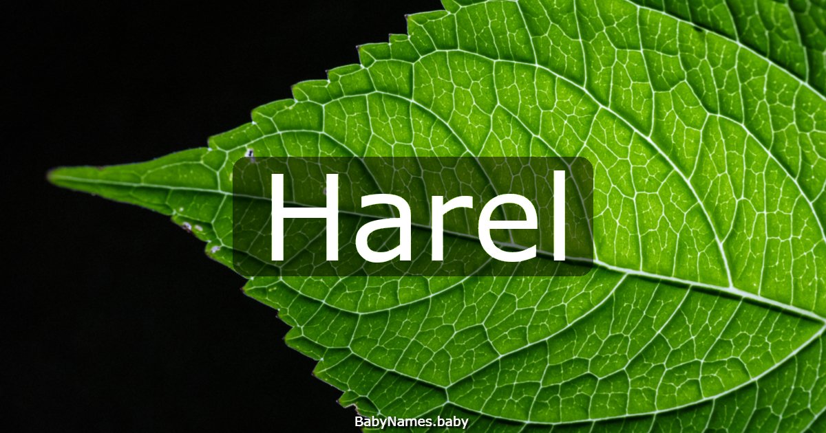 Harel