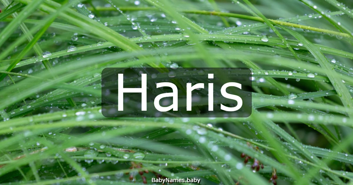 Haris